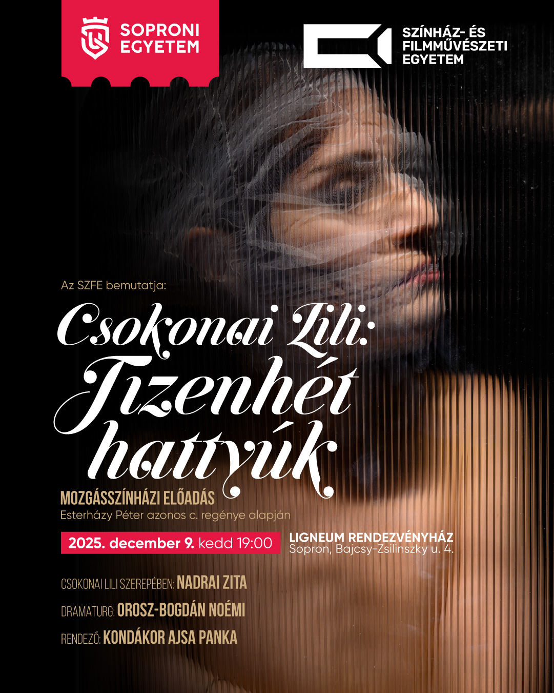 Csokonai Lili: Tizenhét hattyúk